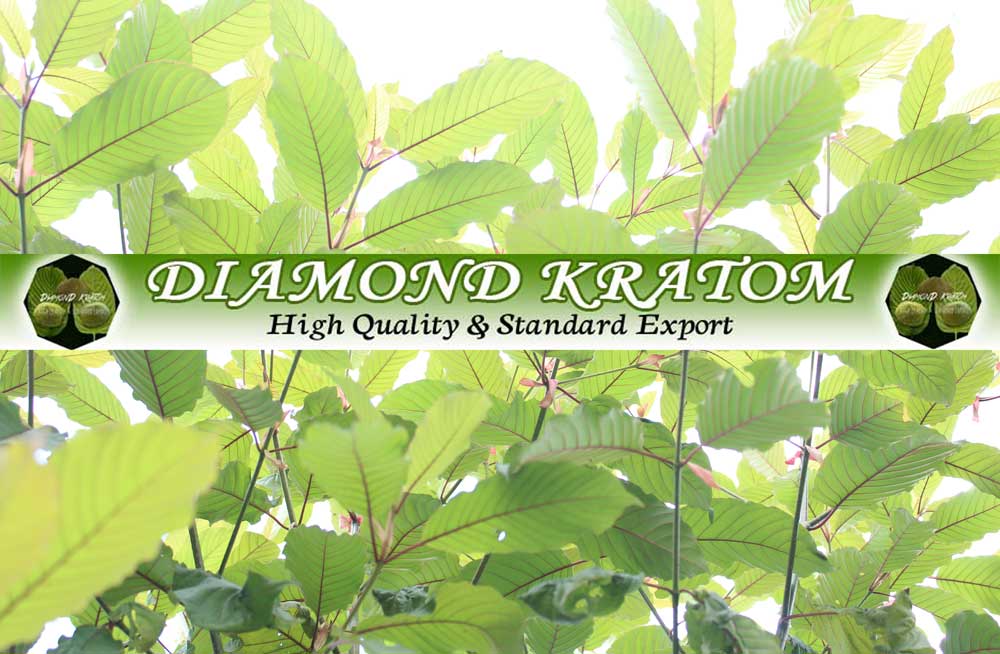 DIAMOND KRATOM